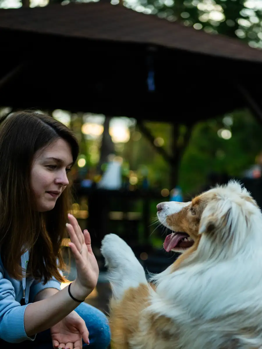 8 most loyal pets that will always stay by your side | EconomicTimes