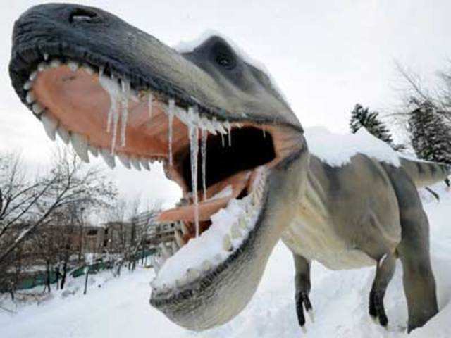 Life-size figure of a Tyranosaurus Rex