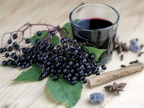 Elderberries