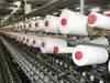 Cotton prices may move up and down: Dhiren N Sheth
