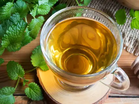 Lemon Balm Tea