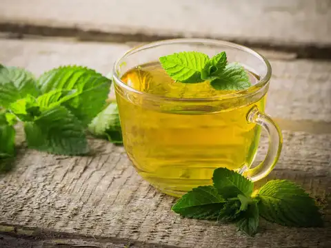 Peppermint Tea