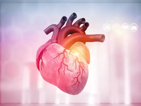 Enhances Heart Health