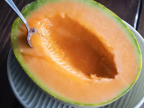 Yubari King Melon