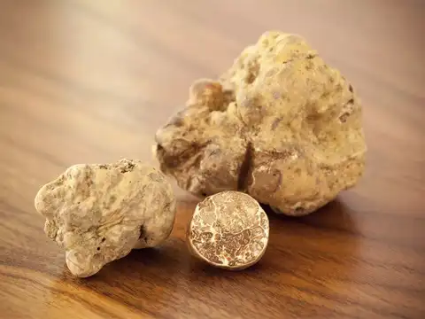 White Truffles