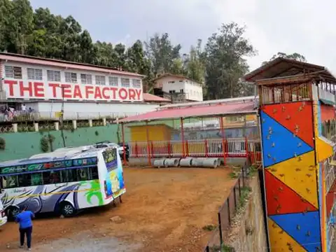 Tea Factory & Museum