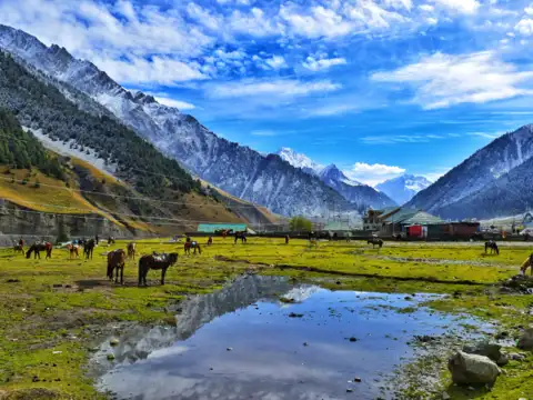 Pahalgam &ndash; Romantic Riverside Bliss