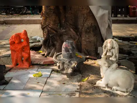 Bhasma (Vibhuti)