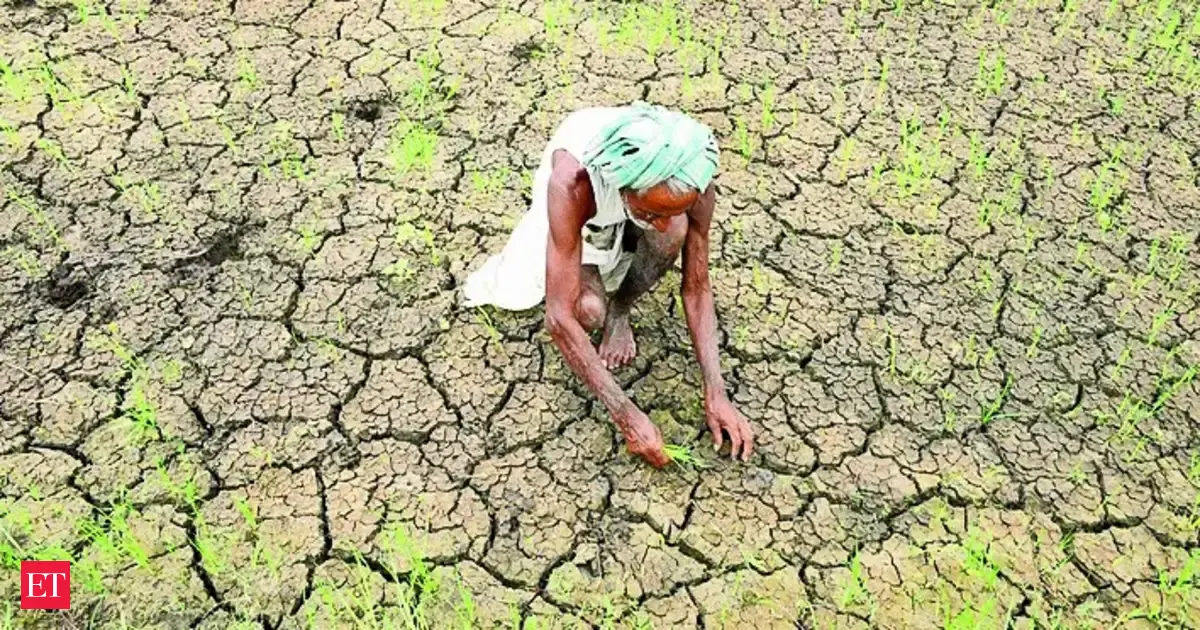 Indian lenders prepare for heatwave impact on loan collections
