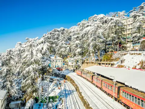 Shimla