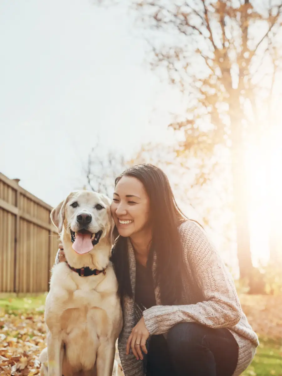 8 adorable ways your labrador retriever expresses their love ...