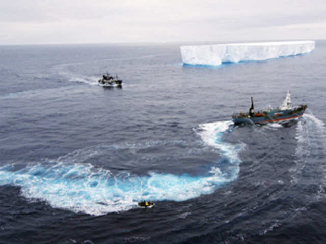 Confrontation of Whalers and the anti-whaling activists 