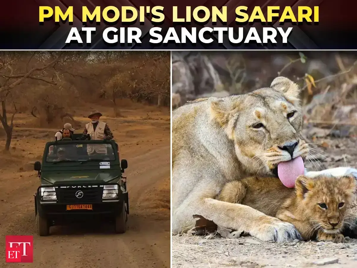 PM Narendra Modi takes a lion safari at Gir Wildlife Sanctuary in ...