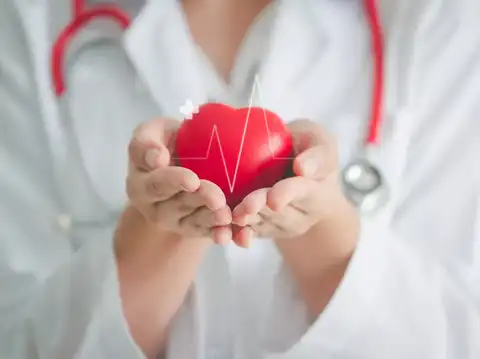 Supports Heart Health