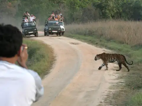 Kanha National Park, Madhya Pradesh