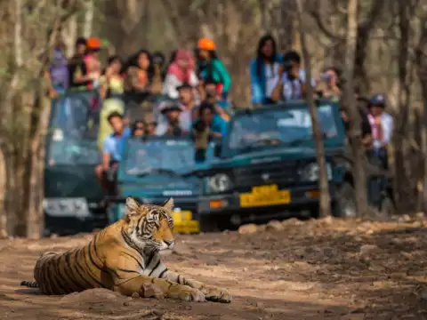 Bandhavgarh National Park, Madhya Pradesh