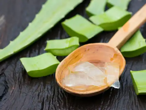 Aloe vera gel for soothing and cleansing