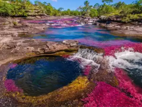 Ca&ntilde;o Cristales, Colombia: The river of five colours