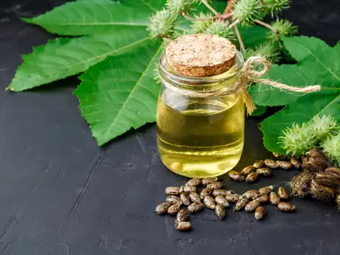 Castor Oil for Post-Workout Recovery