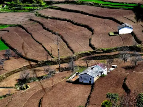 Dhanachuli