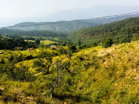 Ranikhet