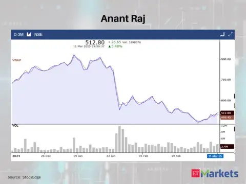 Anant Raj