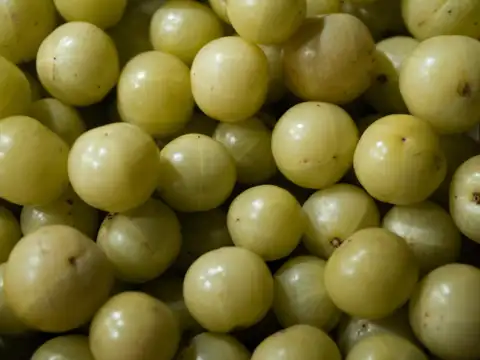  Amla: The vitamin C boost you need