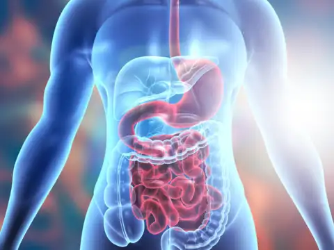 Aids Digestion