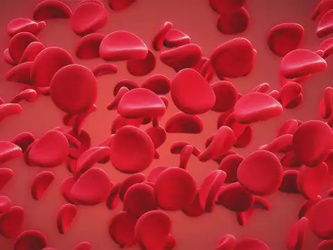 Purifies blood