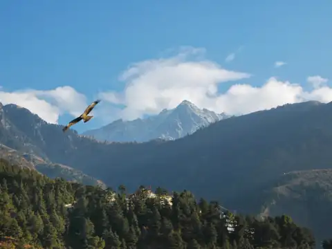 Kangra Valley, Himachal Pradesh