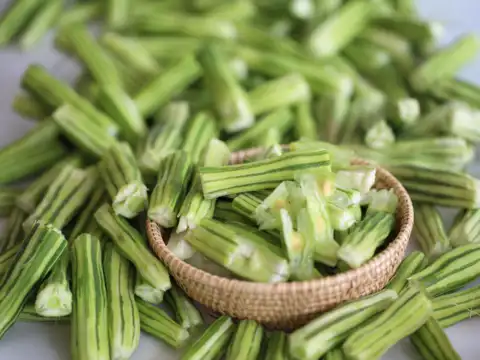 Supports gut health for better immunity