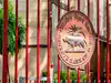 RBI liquidity boost may lower lending rates sooner than expected