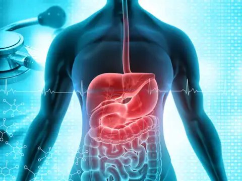 Digestive Health