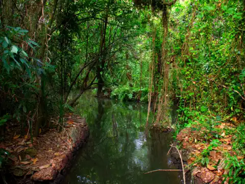 Kumarakom