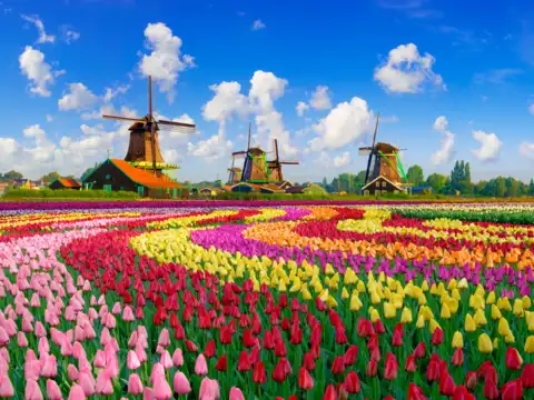  Netherlands