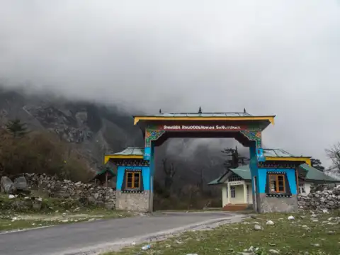 Singba Rhododendron Sanctuary, Sikkim