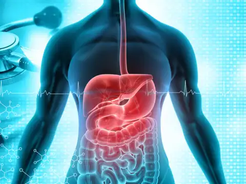 Aids Digestion