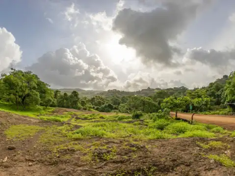 Sanjay Gandhi National Park, Mumbai, Maharashtra