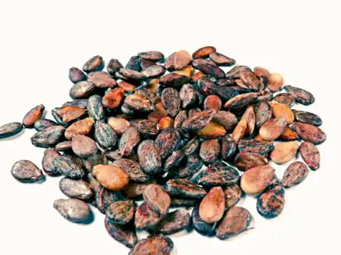 Support healthy digestion