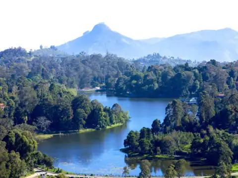 Kodaikanal, Tamil Nadu