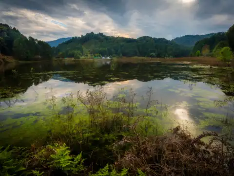 Ziro Valley, Arunachal Pradesh