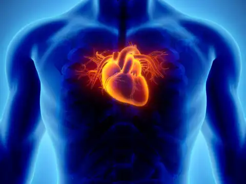 Promotes heart health