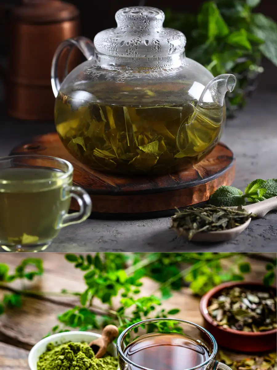 Moringa tea vs. green tea: Which one is better for your health ...