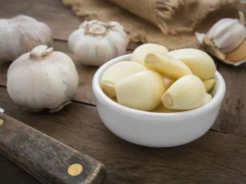 Garlic