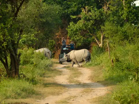 Kaziranga National Park, Assam