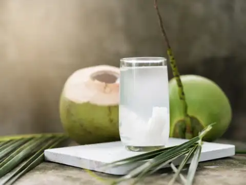 Rich in Electrolytes for Hydration