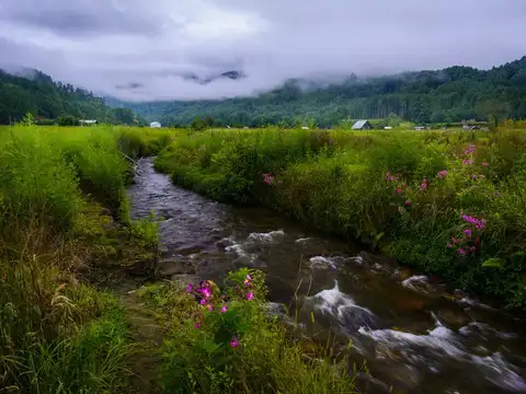 Ziro, Arunachal Pradesh