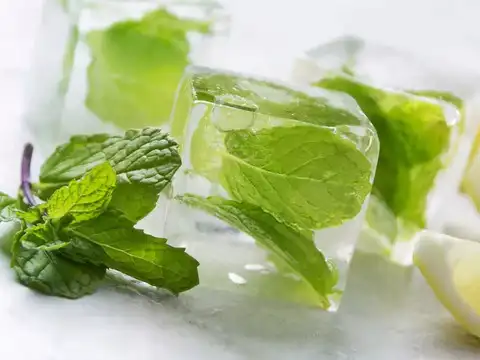 Herb ice cubes