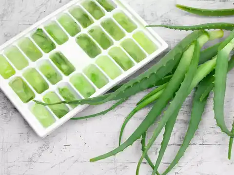 Aloe vera ice cubes