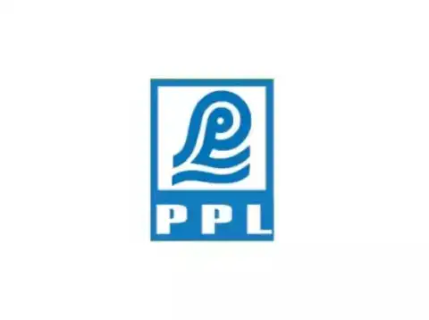 Paradeep Phosphates 